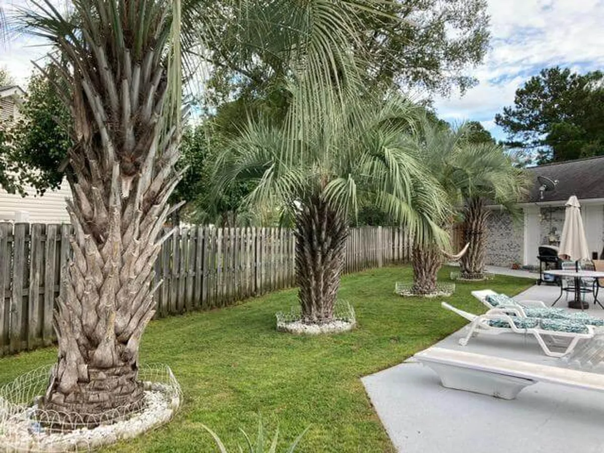 A backyard scene framed by tall palm trees, featuring comfortable lawn chairs and a spacious patio area. The view is set during sunset, creating a warm, inviting atmosphere ideal for gatherings and outdoor relaxation.
